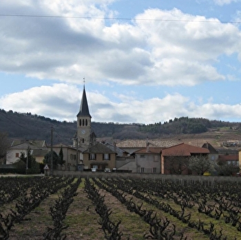 Domaine Jean Georges et Fils - CHENAS
