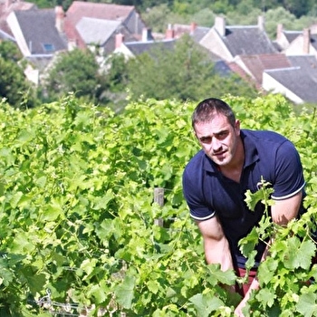 Domaine Jean-Pierre Bailly - TRACY-SUR-LOIRE