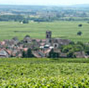 Virely-Rougeot - POMMARD