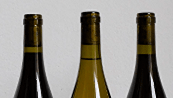 Domaine de la Loue - PORT-LESNEY