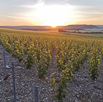 Cailletet Père et Fils - BOUIX