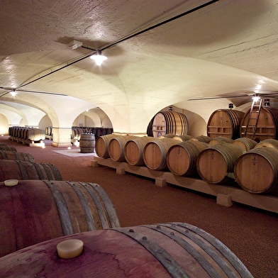 Domaine du Château de Pizay