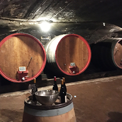 Le caveau du Château de Fleurie