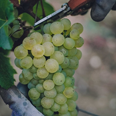 Berthelemot Brigitte