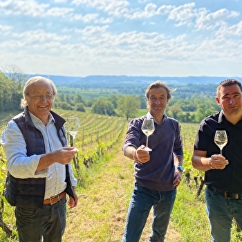 Domaine de Sainte Marie - ARLAY