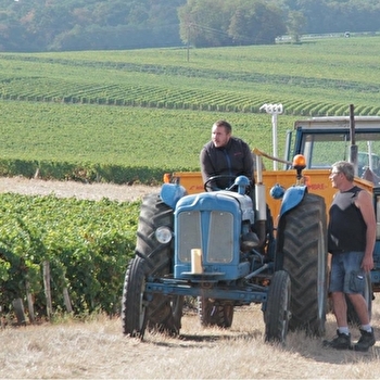 Domaine du Petit Soumard - SAINT-ANDELAIN
