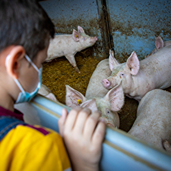 EARL de la Montagne - SAINT-BRESSON