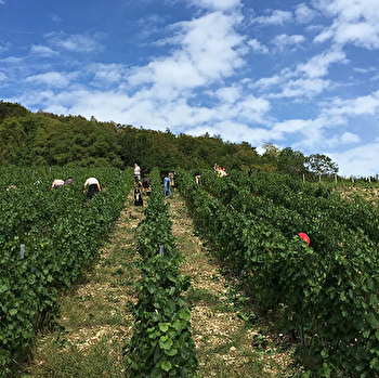 Domaine de la Dentelle - SAINT-MARTIN-DU-MONT