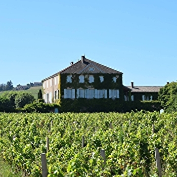 Château des Bachelards - FLEURIE