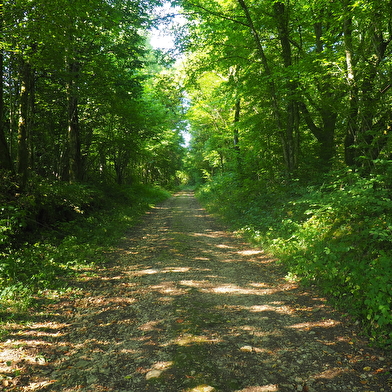 Sentier pédagogique de Champfleurey