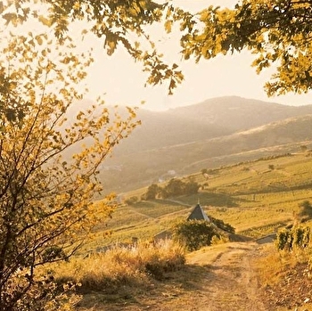 Clos de Haute Combe - JULIENAS