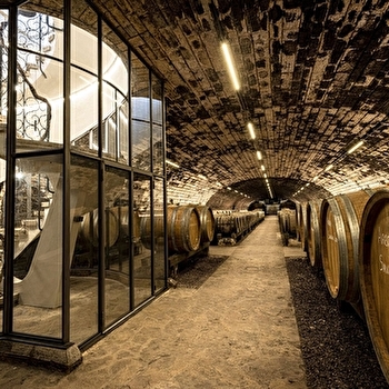 Domaine de la Pinte - ARBOIS