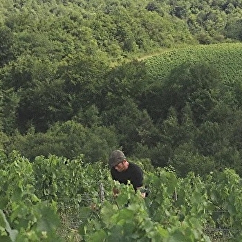 Domaine de Montaillant - CHASNAY