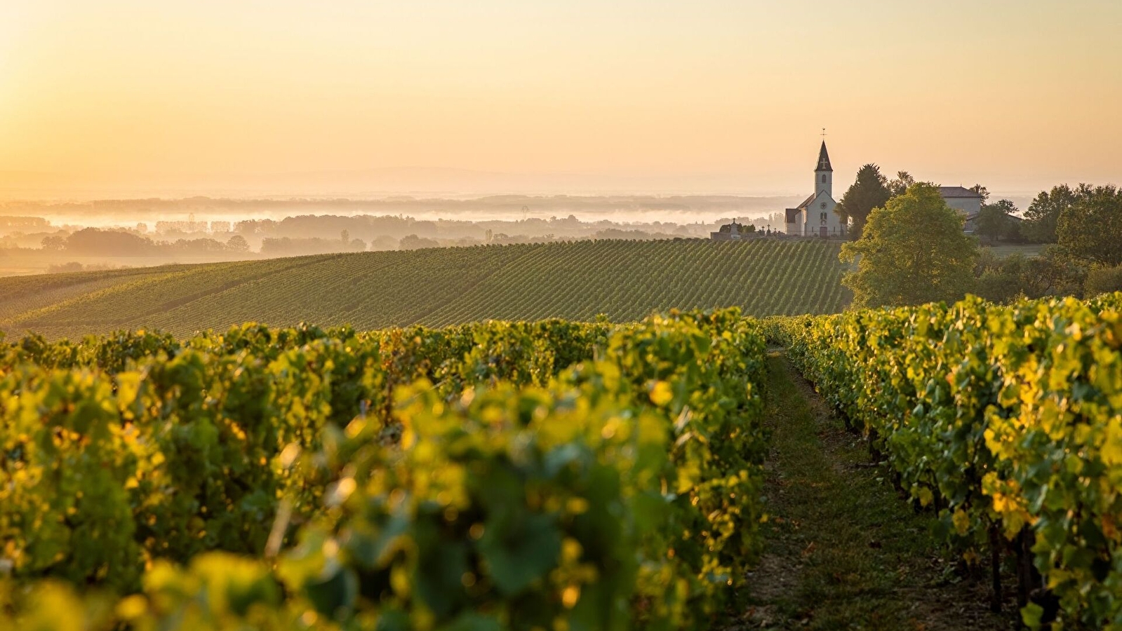 La Maison ... Cave de Viré