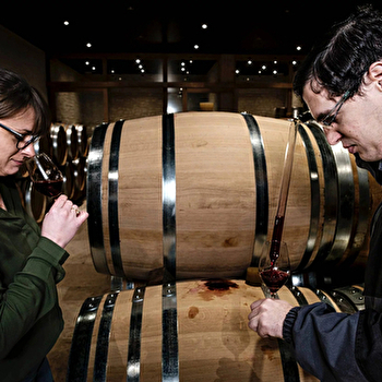 Domaine Arnaud et Stéphanie Dezat - VERDIGNY