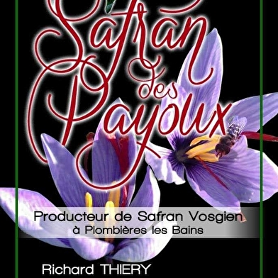 Safran des Payoux