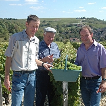 Domaine Pierre Marchand et Fils - POUILLY-SUR-LOIRE