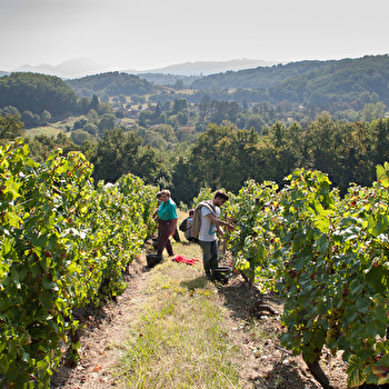 Caveau Pelillo - PLATEAU D'HAUTEVILLE