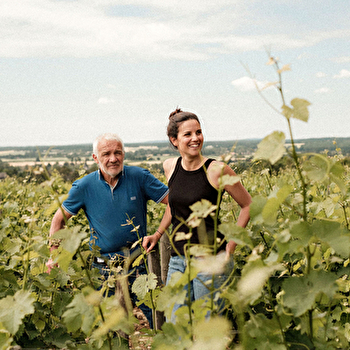 Minet Régis - POUILLY-SUR-LOIRE