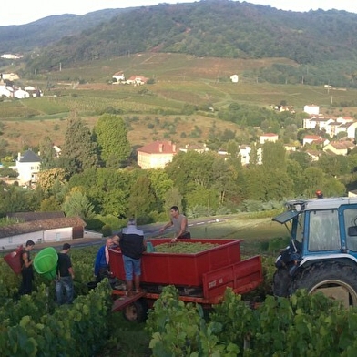 Domaine viticole Philippe Deschamps