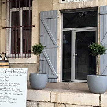 Dufouleur Guy et Yvan - NUITS-SAINT-GEORGES