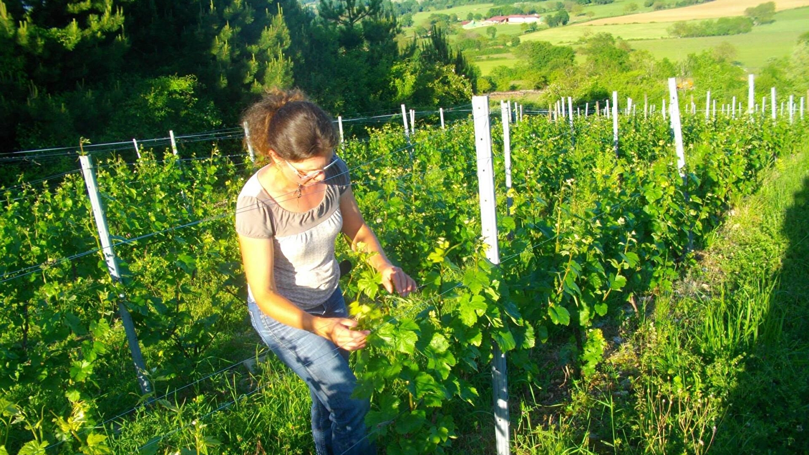 Domaine Véronique Antoine