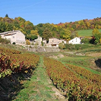 Jean-Luc Ducruix - Domaine de Vavril - BEAUJEU