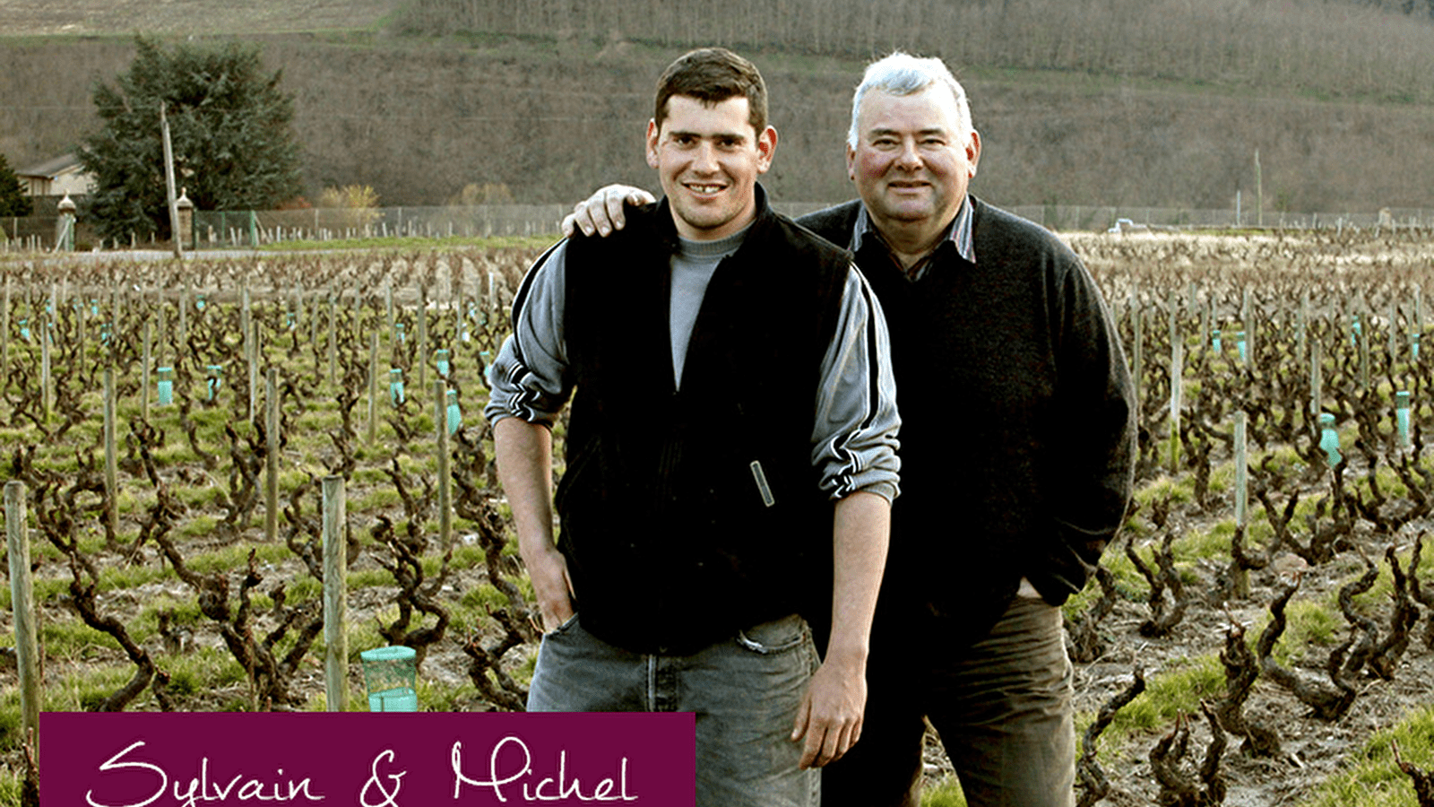 Domaine du Clos du Fief