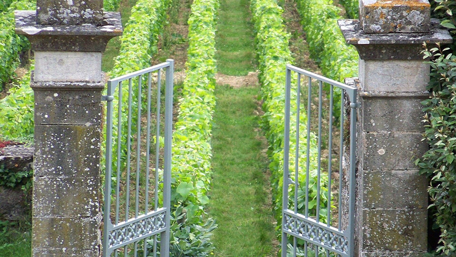 Domaine de l'Evêché - Joussier Quentin et Vincent