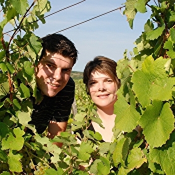 Domaine Desiré Petit - PUPILLIN