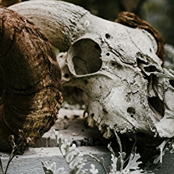 Animation Halloween au Parc animalier - FOUGEROLLES-SAINT-VALBERT