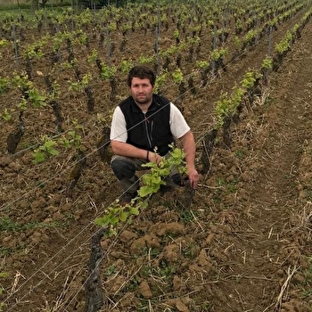 Legou Guillaume - GILLY-LES-CITEAUX