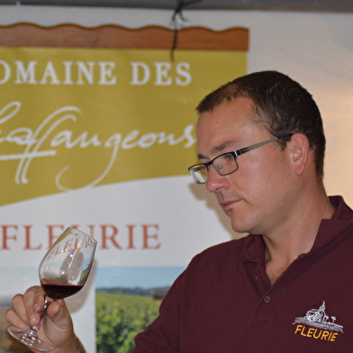 Domaine des Chaffangeons