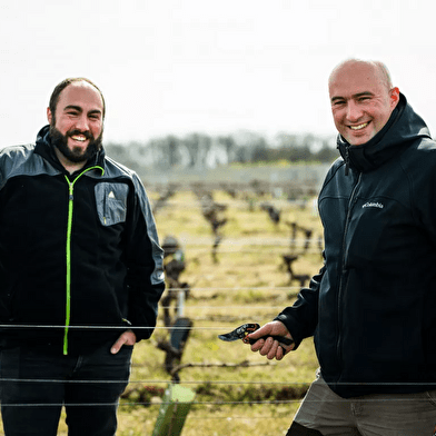 Domaine Poupat et fils