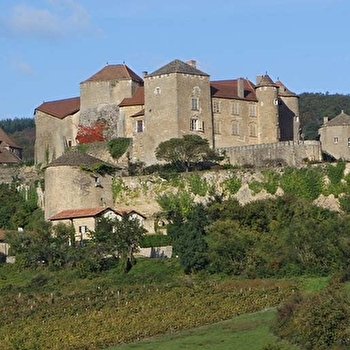 Société Viticole du Château de Berzé - BERZE-LE-CHATEL