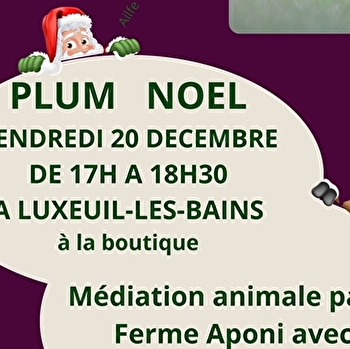 Plum(ailfe) Noël - LUXEUIL-LES-BAINS