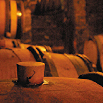 Dujardin - MONTHELIE