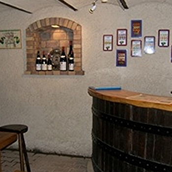 Domaine de Roche-Guillon - FLEURIE