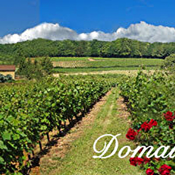 Domaine de Rotisson - SAINT-GERMAIN-NUELLES