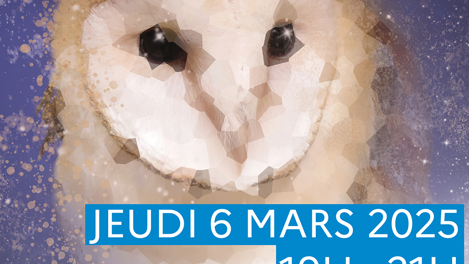 Nuit de la chouette