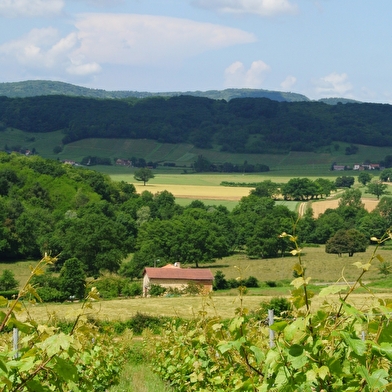 Domaine du Mont Epin