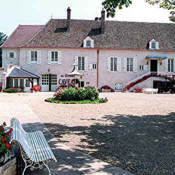 Delagrange Bernard & Fils - MEURSAULT