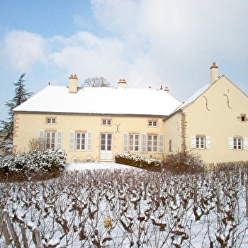 Domaine de la Monette - MERCUREY