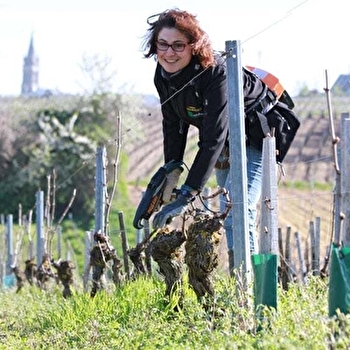 Domaine Marielle & Claude Michot - SAINT-ANDELAIN