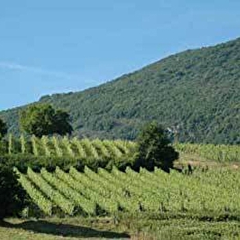 Maison Yves Duport - GROSLEE-SAINT-BENOIT