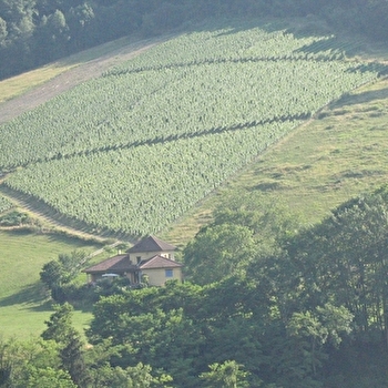 Cave Wojtkowiak - CERDON