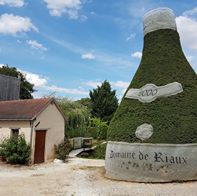 Domaine de Riaux