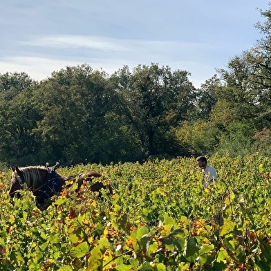 Domaine de L’Aubraine
