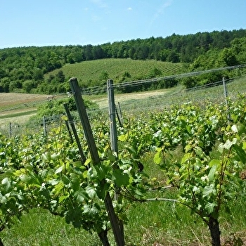 Domaine de Bel-Air - VILLIERS-SUR-YONNE