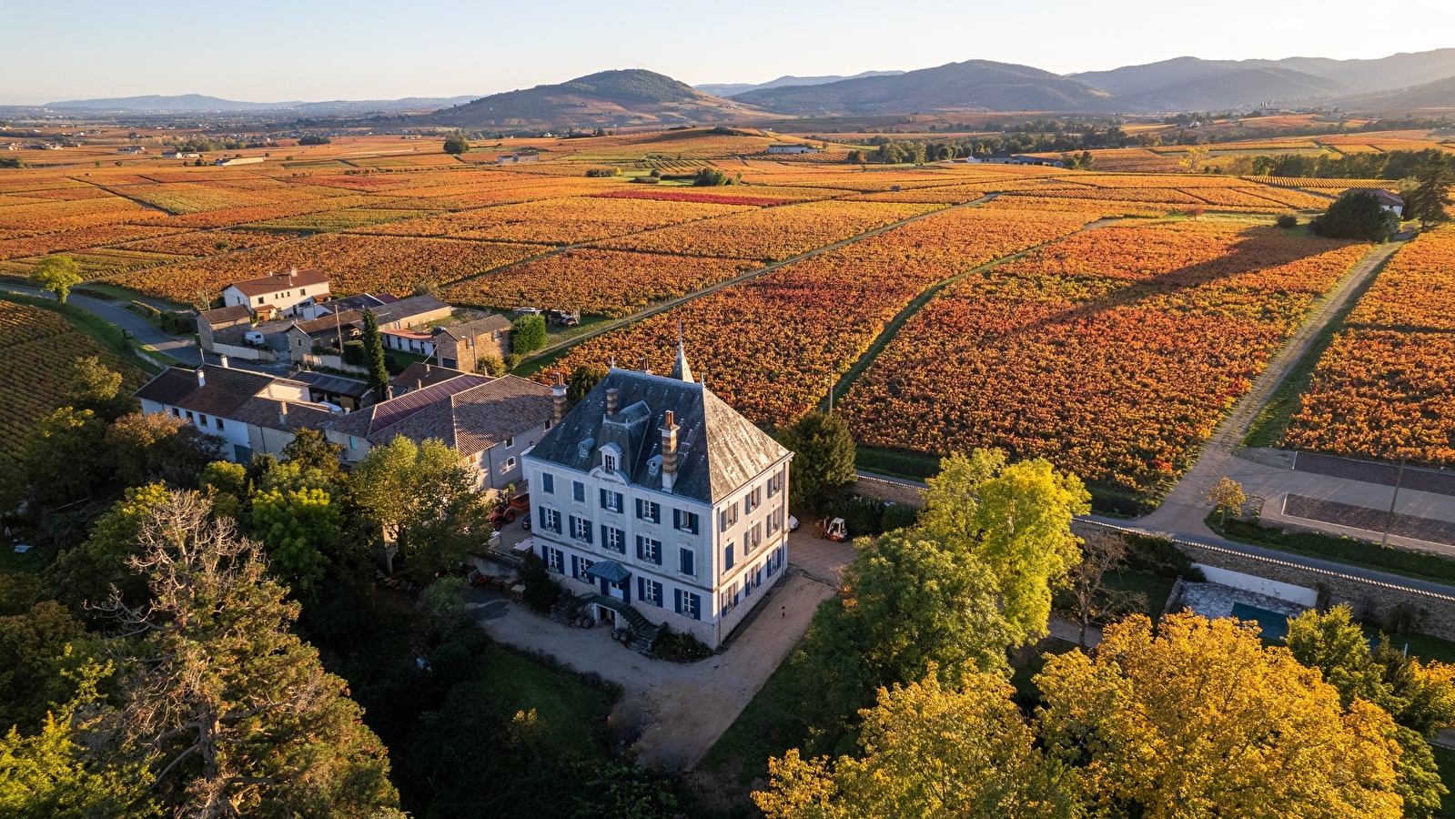 Château Grange Cochard